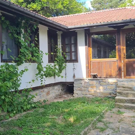 ゲストハウス под орехите