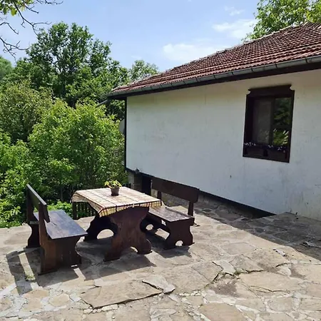 под орехите ゲストハウス