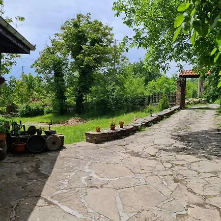под орехите Трявна